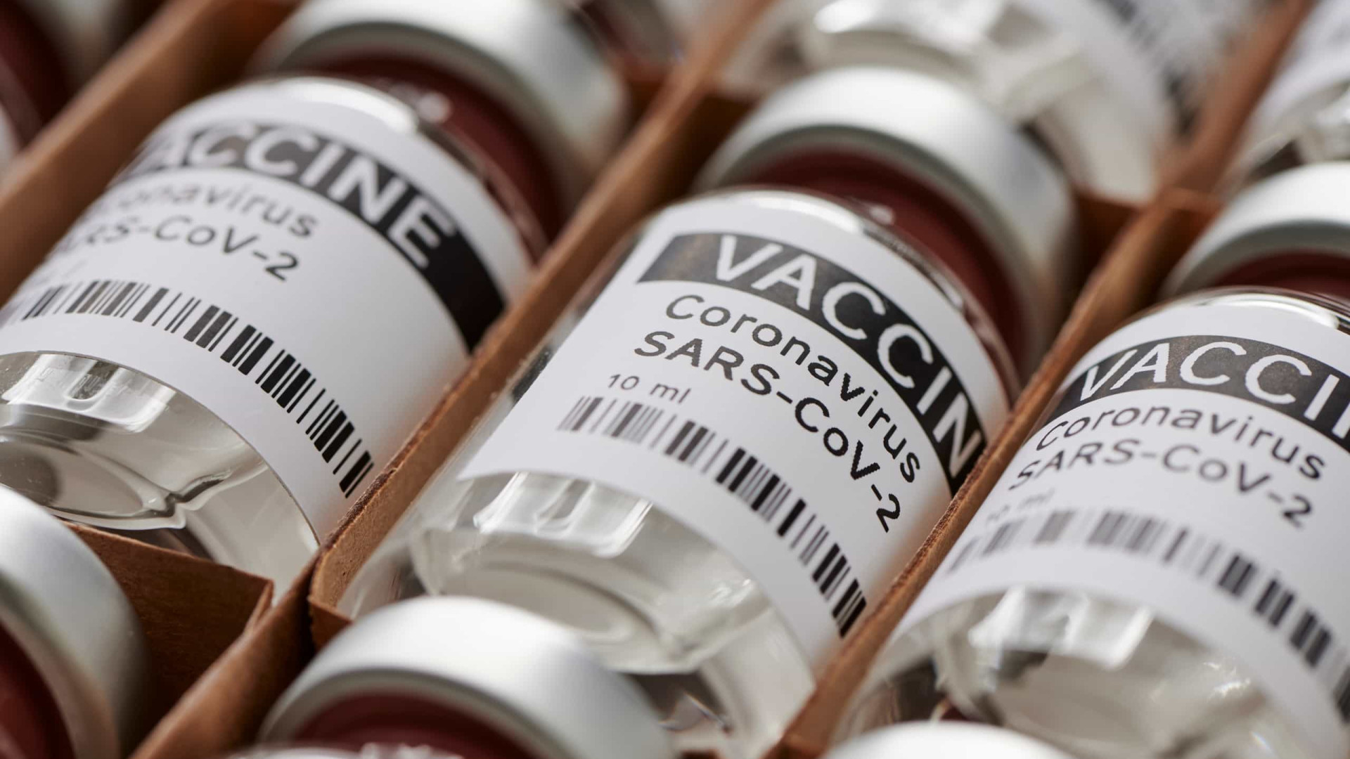 Lote com mais de 1 milhão de vacinas contra covid-19 chega ao Brasil