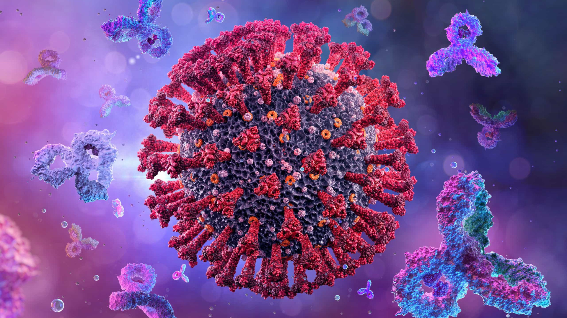 Anticorpos da estirpe original do coronavírus não se ligam a variantes