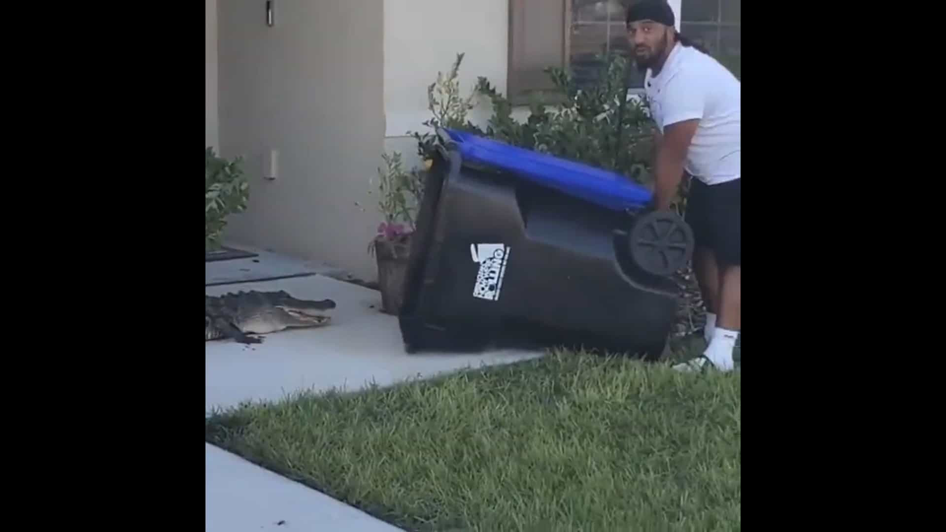 Homem captura jacaré com caixote do lixo. "Flórida pode se orgulhar"