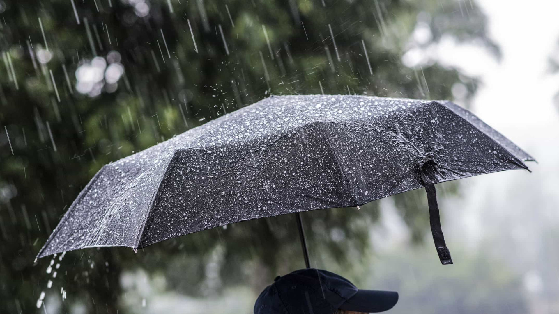 Nordeste deve continuar com chuvas fortes e risco de alagamentos