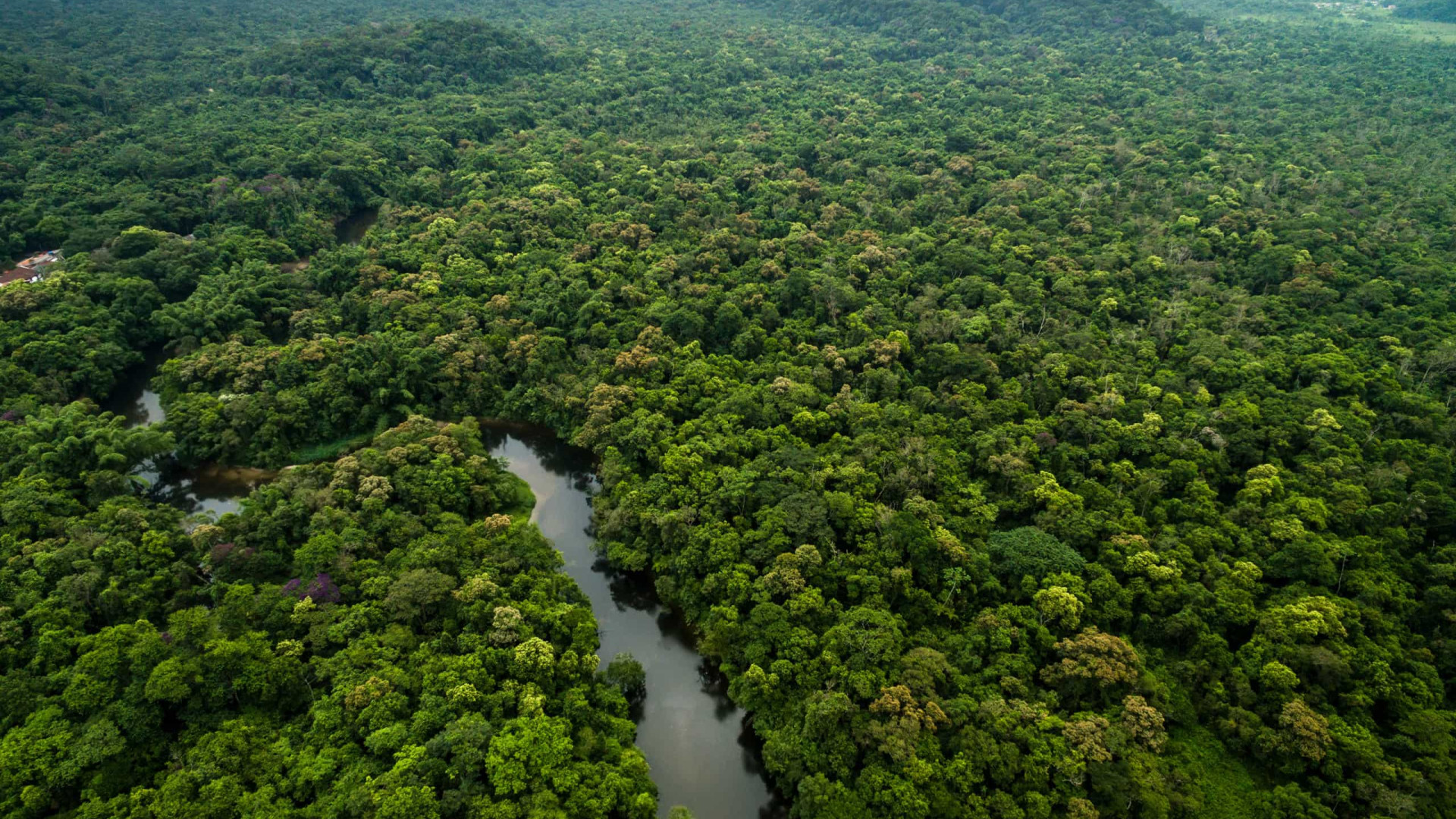 Amazônia terá sistema de dados sobre gases de efeito estufa