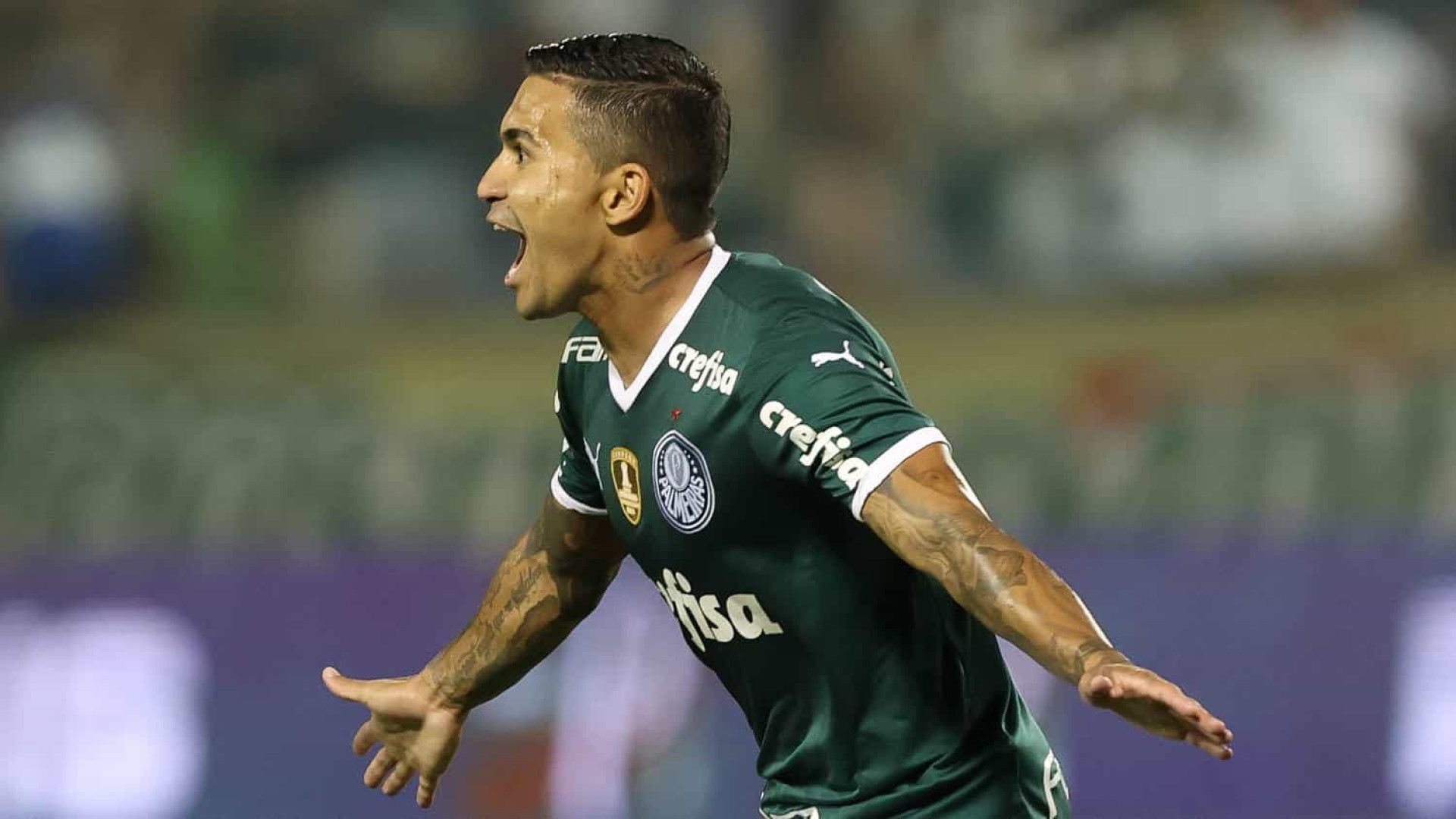 Dudu pode ficar até um ano sem jogar após lesão, veja previsão do Palmeiras