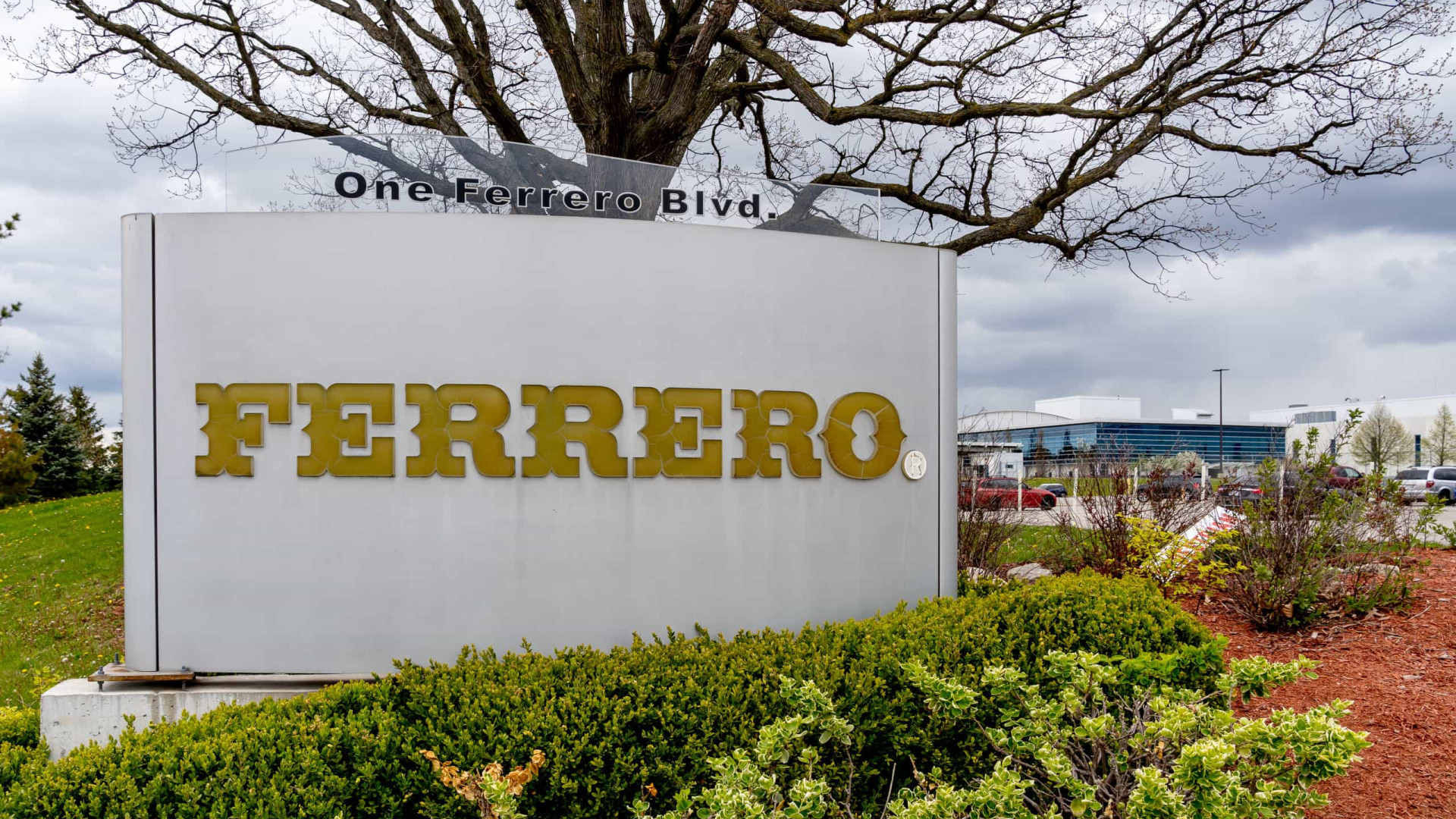 Anvisa identifica novos lotes de chocolate da Ferrero com risco de salmonella