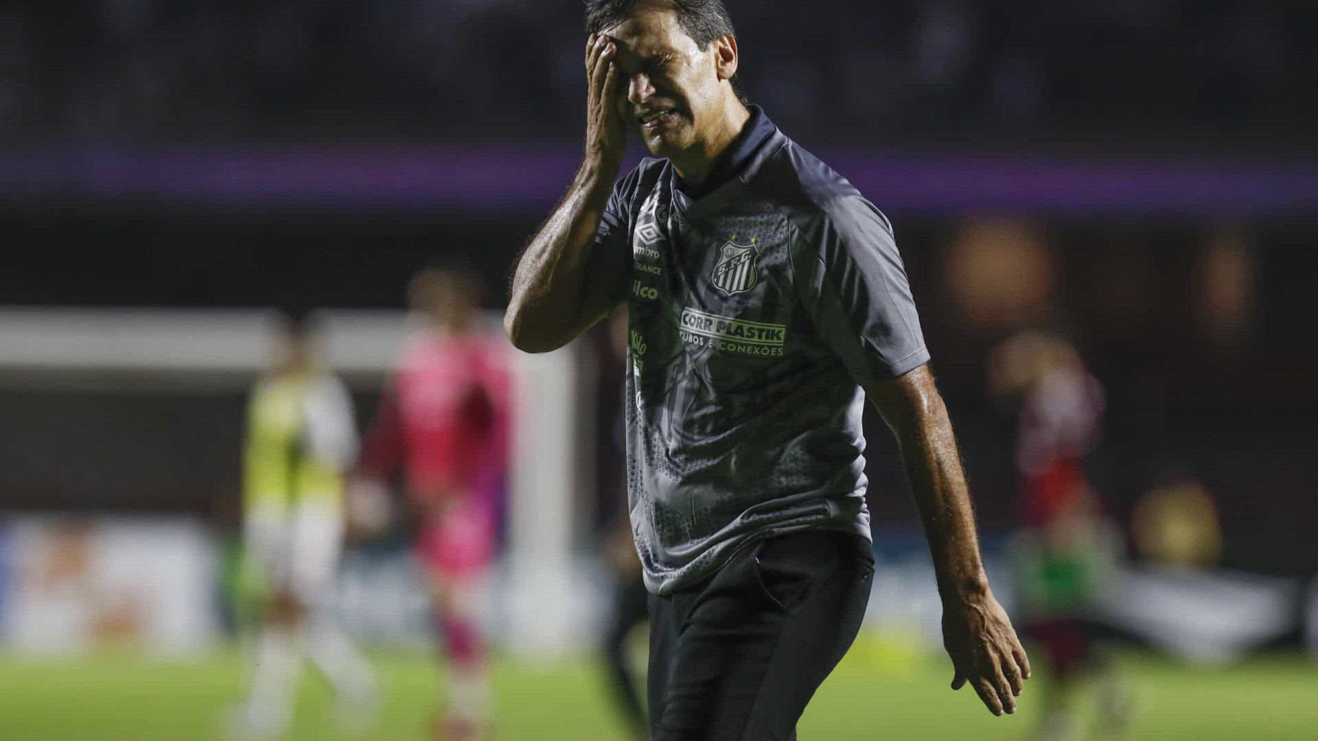 Bustos diz que gol da Católica 'não classificou' o Santos e valoriza campanha