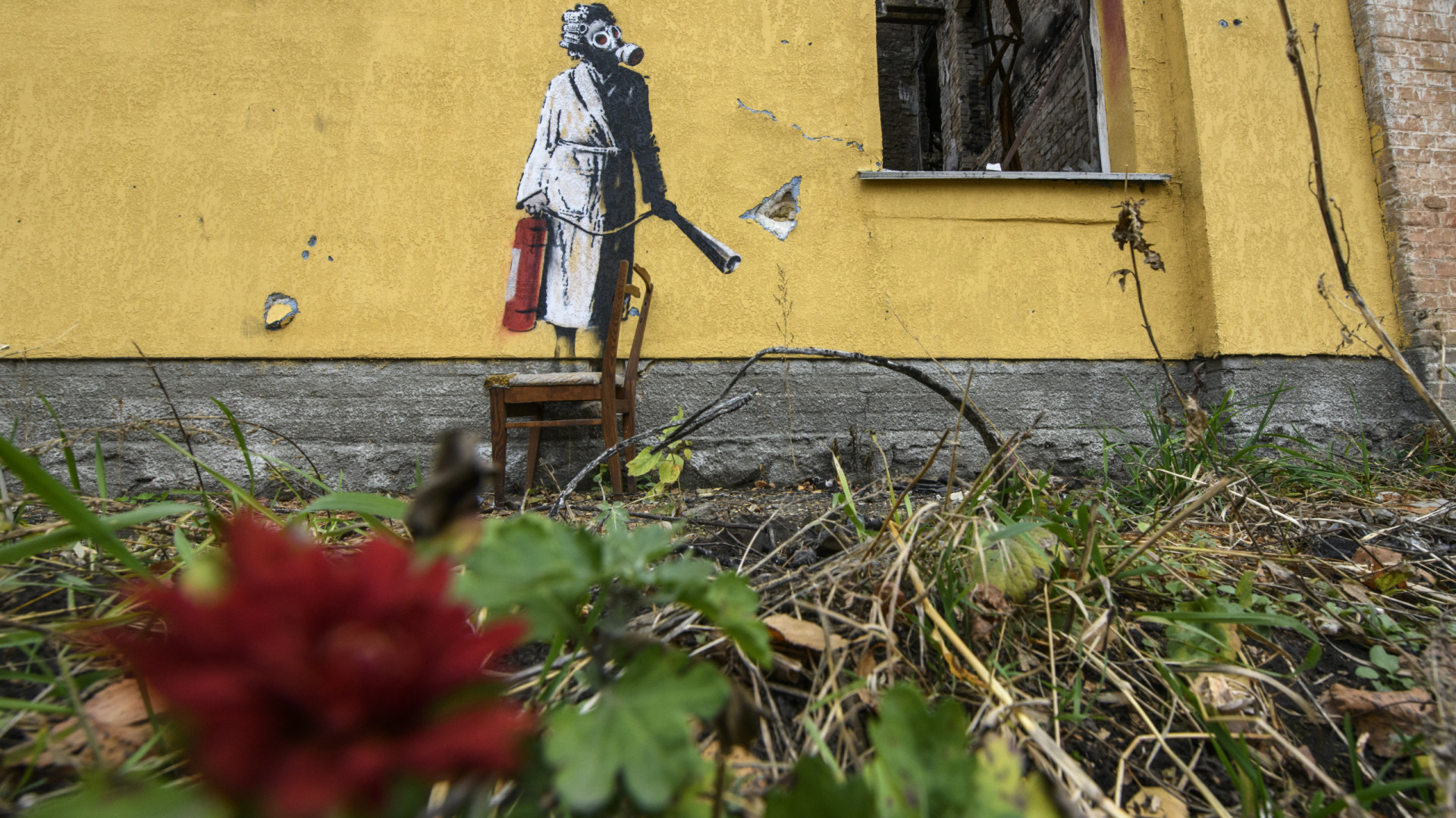 Surgem novas imagens da arte de Banksy na Ucrânia. São sete no total