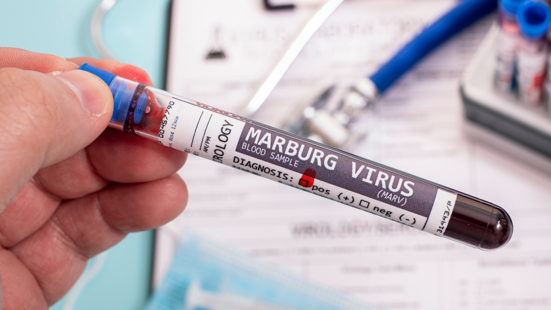 Tanzânia confirma surto do vírus Marburg, de grande letalidade