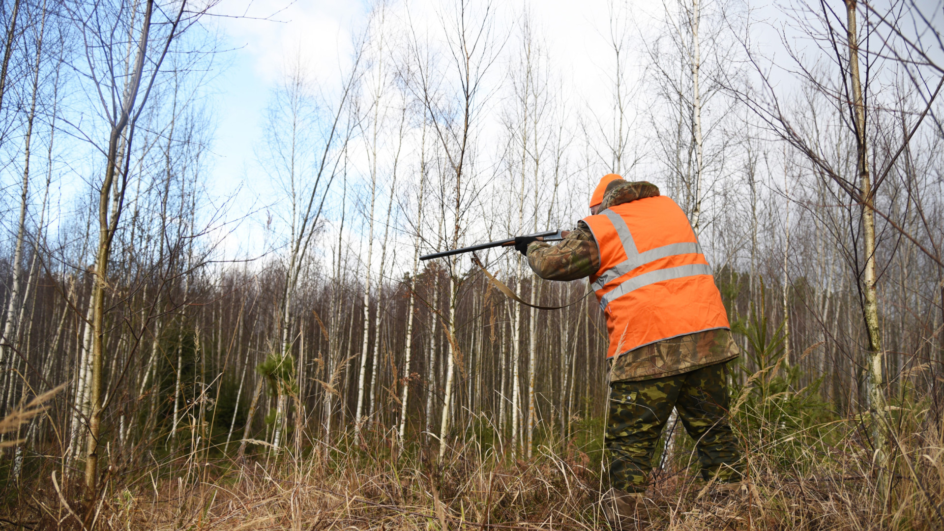 Mais de 1 arma sem registro é apreendida por dia com caçadores em SP