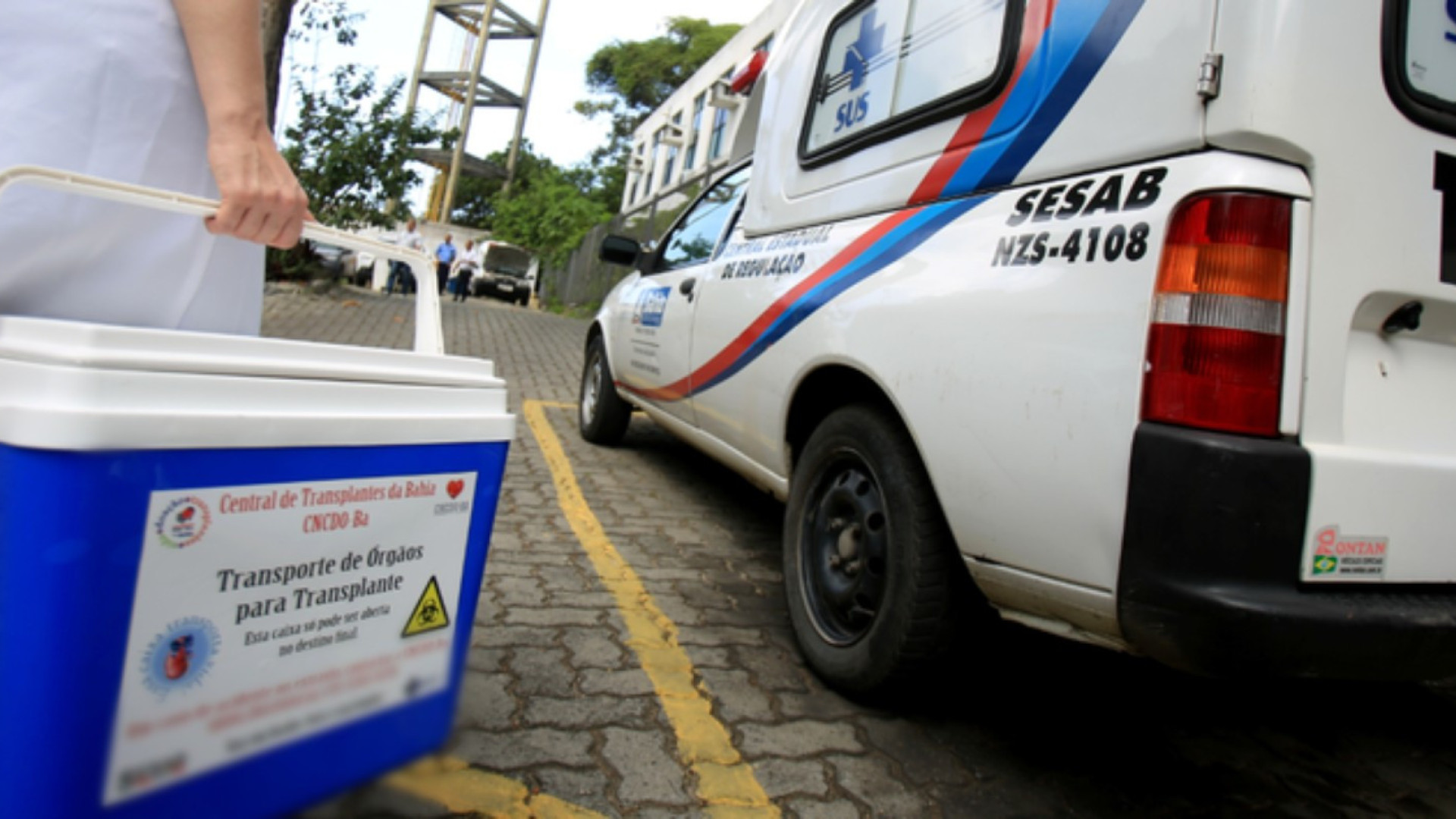 Brasil bate recorde de doadores de órgãos no primeiro semestre do ano