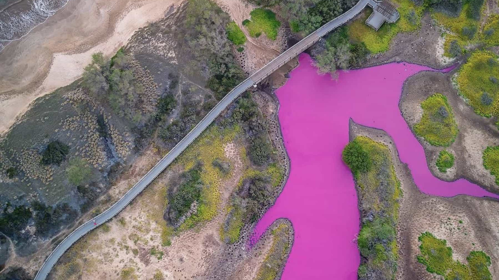 Água em lago no Havai fica cor-de-rosa. Saiba o porquê