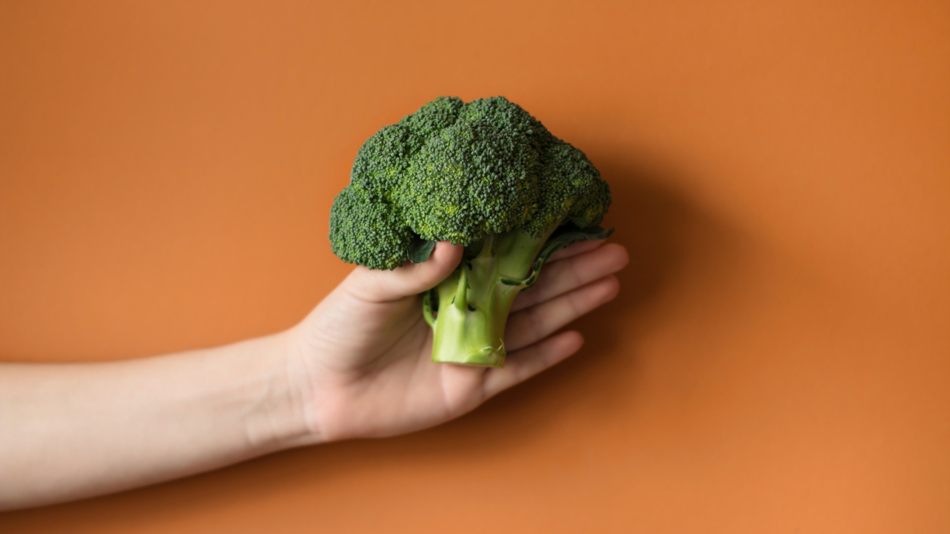 Quer turbinar a saúde do seu intestino? Aposte no brócolis!