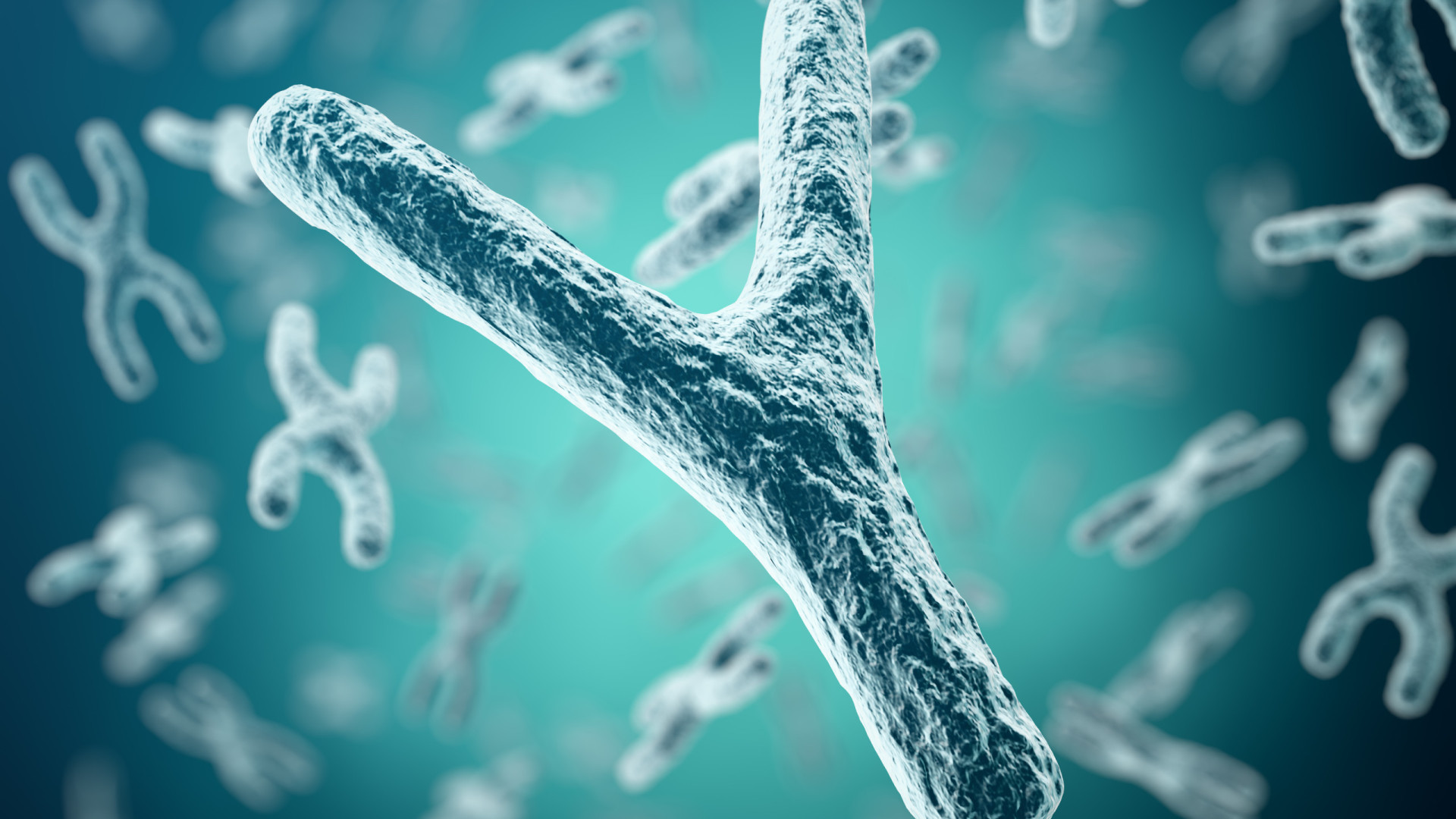 O desaparecimento latente do cromossomo Y e o impacto disso nos homens