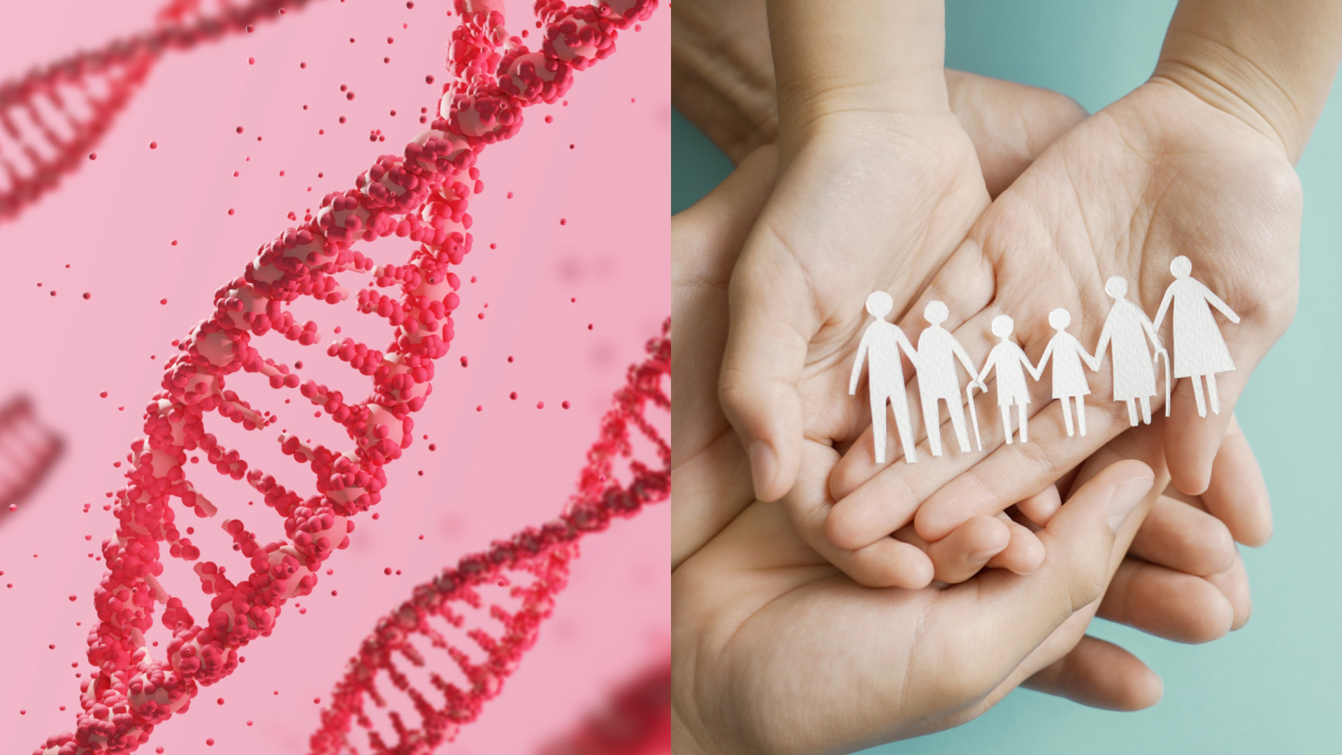 Sabia que nossos genes carregam traumas passados de nossas famílias?