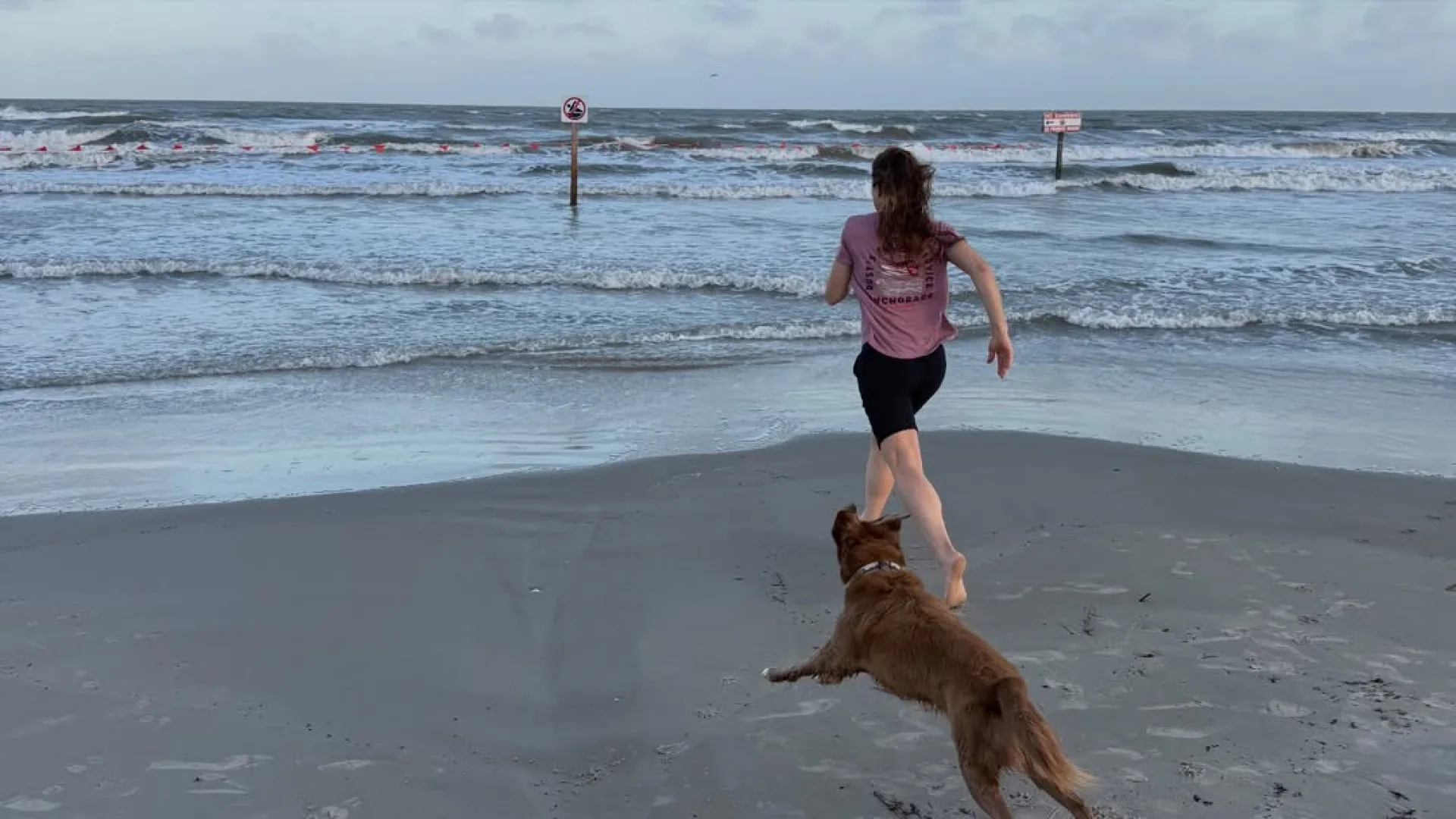 
                    Astronauta mostra reencontro com cadela após viagem de 10 dias até à Lua
                