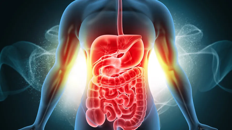 Arroz ou macarrão? Médicos revelam qual é melhor para o intestino