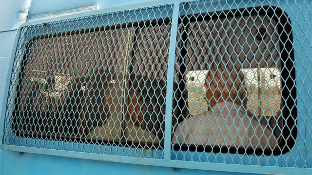 
                    França condena ex-jogadores de rúgbi a até 14 anos de prisão por estupro
                