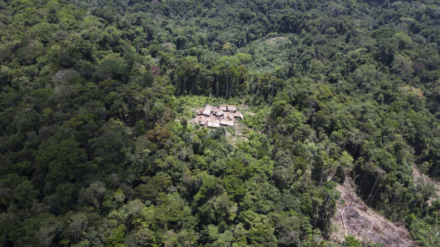 Ministra anuncia ações contra o desmatamento ilegal na Amazônia