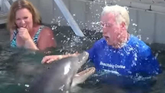 Idoso trava 'guerra de água' com golfinho no Caribe; assista
