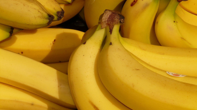 Especialistas dão dicas de prevenção contra ameaça de extinção da banana