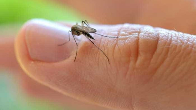 É impossível estimar quantos terão o vírus Zika este ano, diz ministro