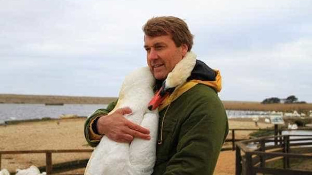 Cisne ferido é ajudado e 'retribui' com 'abraço'
