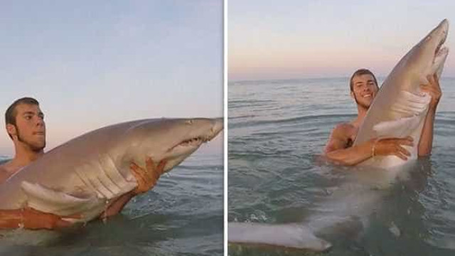 Homem carrega tubarão no colo para libertá-lo no mar; assista!