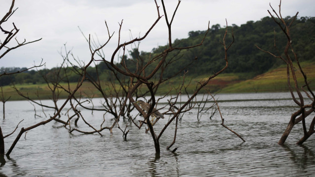Nível da água diminui em reservatórios de São Paulo