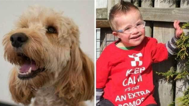 Cão salva menino com síndrome de Down que ficou preso em secadora