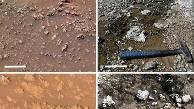 Imagens de 2007 podem provar vida em Marte