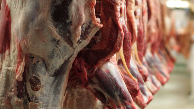Exportações de carne bovina sobem 31% em julho, diz governo