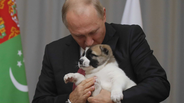 Putin ganha cachorro de presidente aliado