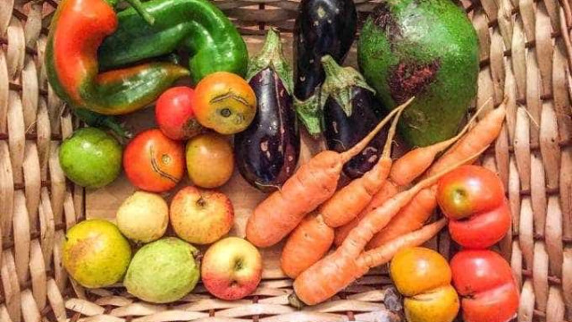 Fruta Imperfeita já salvou 500 toneladas de alimentos 'feios'