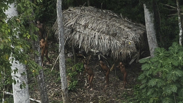 Damares diz que vai manter proteção a índios isolados da Amazônia