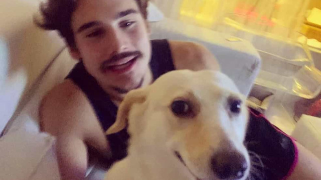 Nicolas Prattes adota cachorra após antiga dona morrer de Covid-19