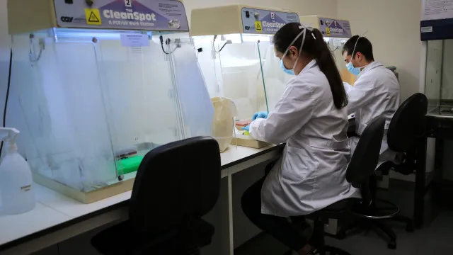 
                    Estudo liga bactérias do intestino e da boca a traços de psicopatia
                