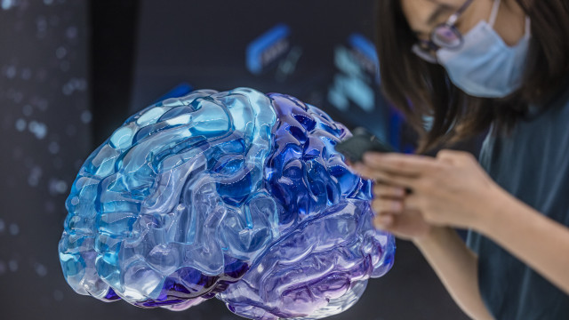 Estudo revela que o cérebro humano está ficando maior