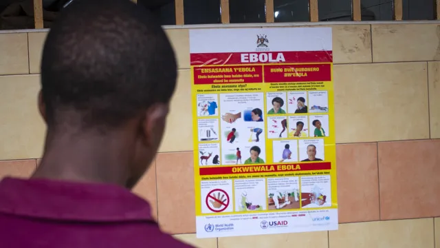 
                    OMS declara emergência de saúde pública mundial devido a surto de ébola
                