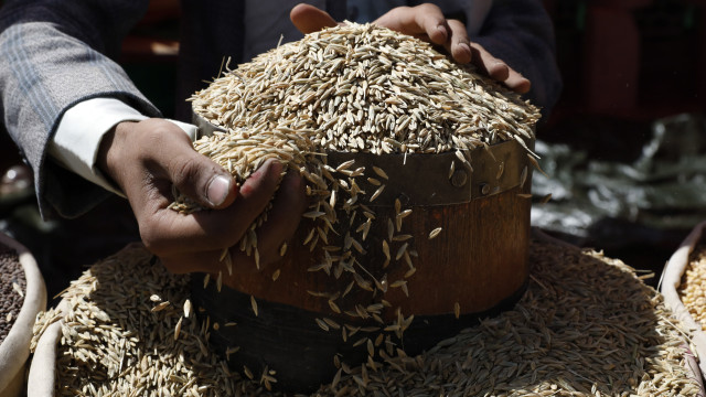 Rússia admite fim do acordo sobre exportação de cereais