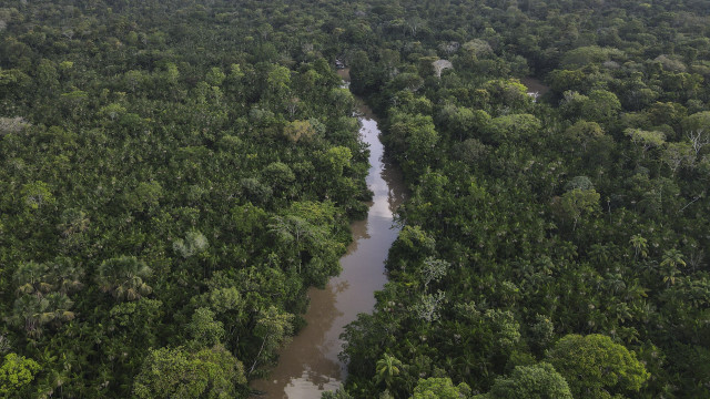 Por que mais de cem botos morreram em água a 40ºC na Amazônia?