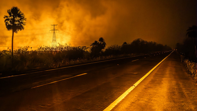 Um quarto do território brasileiro atingido pelo fogo nos últimos 40 anos