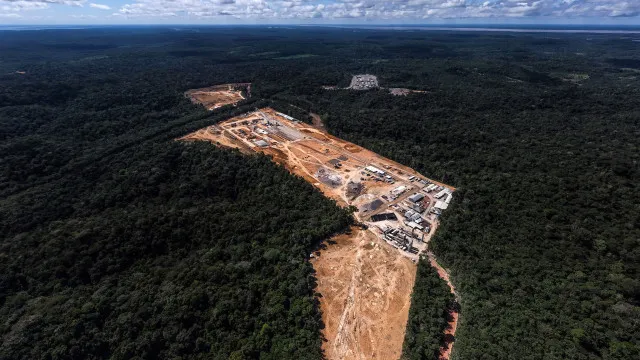 
                    Planeta perdeu mais de 41 milhões de hectares de florestas em 10 anos
                