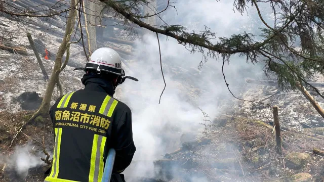 
                    Centenas de bombeiros combatem incêndios florestais no norte do Japão
                