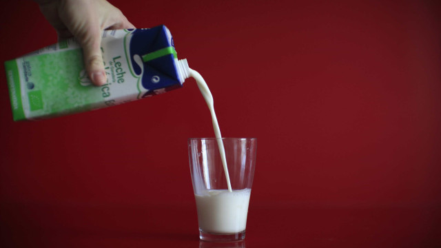 Empresas com leite adulterado terão fiscalização especial