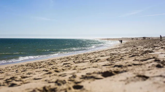 
                    Oceanos batem recorde de calor em julho e Europa enfrenta seca extrema
                