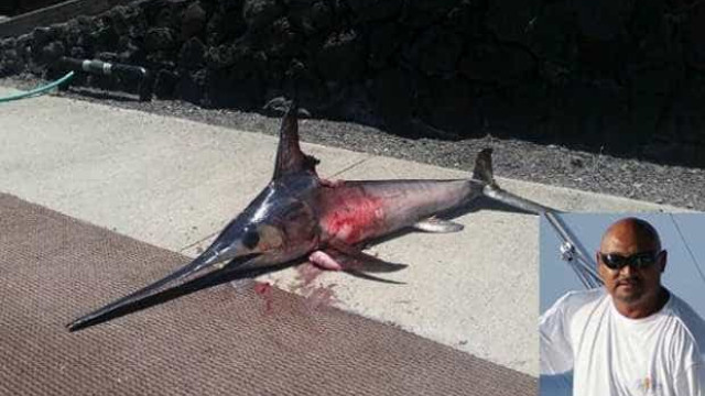Pescador americano morre ao ser atingido por peixe-espada