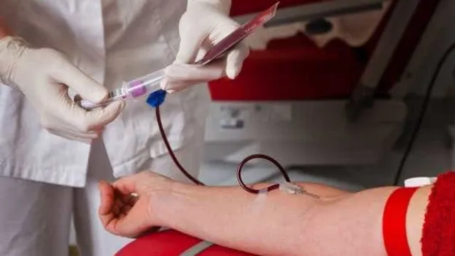 
                     Vai doar sangue? Veja os cuidados essenciais antes e depois da doação 
                