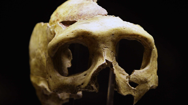 Humanos e Neanderthais se misturaram na Europa