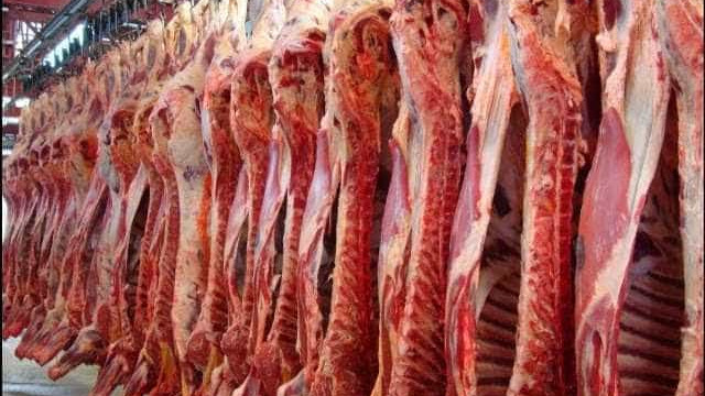 Exportação de carne bovina para a China é suspensa temporariamente