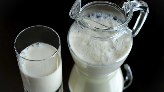 Intolerância à lactose é diferente da alergia ao leite; saiba mais