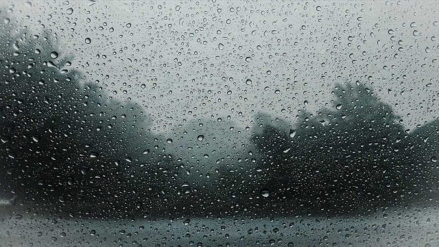 Mulher morta ao tentar salvar o carro em enchente em SP trabalhava como motorista