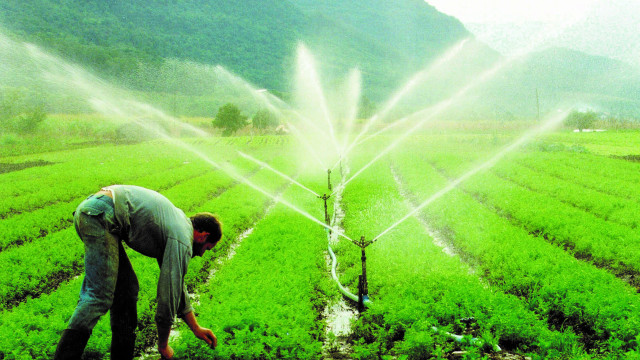 Em meio à crise do clima, Bahia afrouxa normas para irrigação